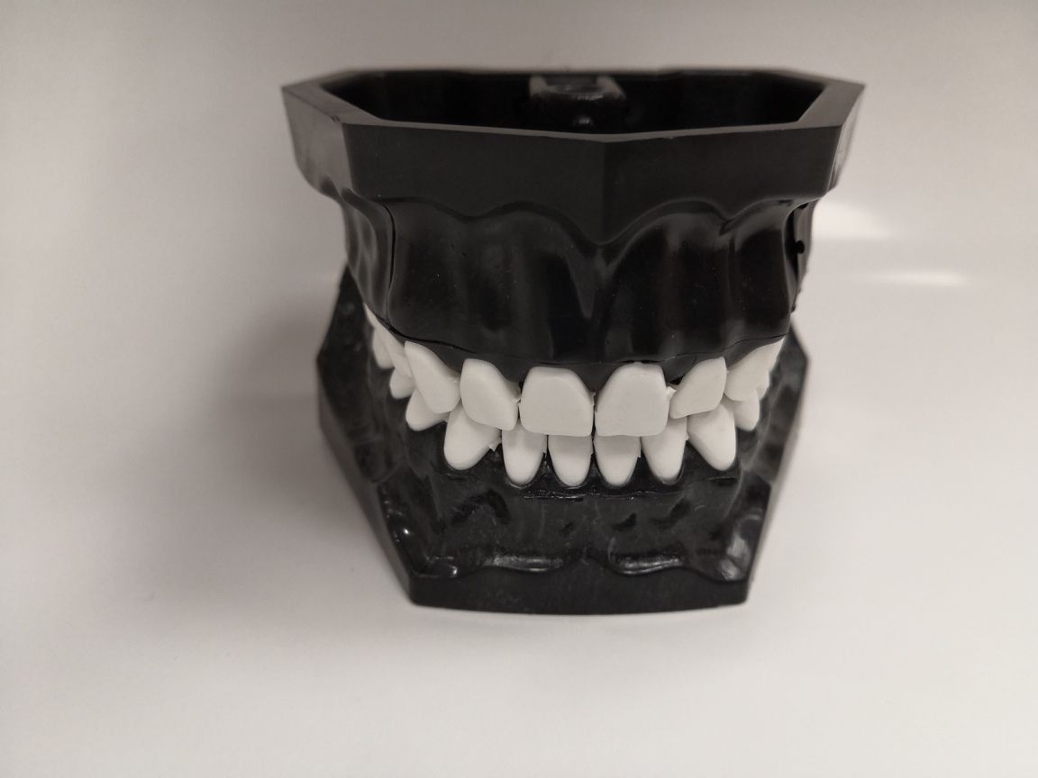 Модель челюсти учебная со сменными зубами, Черная, Турция